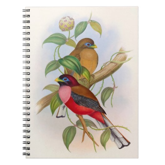 Prachtige vogelillustratie kleurrijk notitieboek (Voorkant)