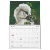 Prachtige vogelkunst van MM Anderson Kalender (Mar 2026)