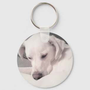 Prachtige, vreedzame witte labrador Mix Dog Sleute Sleutelhanger