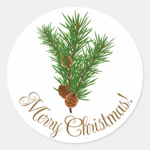 Prachtige vrolijke kerst stickers