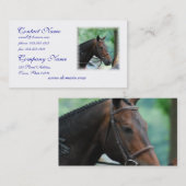 Prachtige Warmblood Horse Mailing Labels (Voorkant / Achterkant)