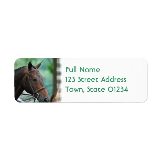 Prachtige Warmblood Paard Mailing Labels (Voorkant)