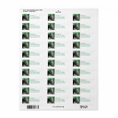 Prachtige Warmblood Paard Mailing Labels (Full Sheet)
