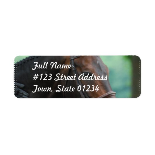 Prachtige Warmblood Paard Mailing Labels (Voorkant)