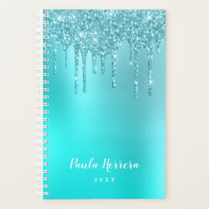 Prachtige waterblauwe munt en turquoise glitter dr planner