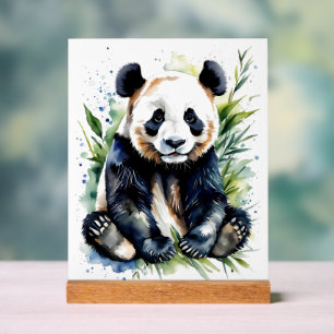 Prachtige Waterverf Panda Beer Acryl Bord