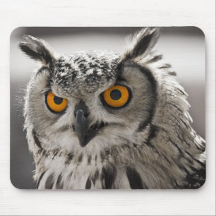 Prachtige White Owl Mousepad Muismat