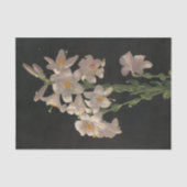 Prachtige  whitespaasmakerij tissuepapier (Voorkant)