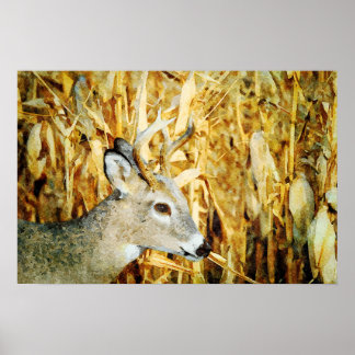 Prachtige whitetail Deer Buck Waterverf Painting Poster