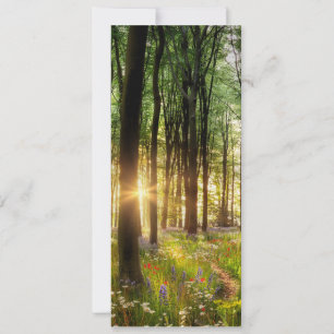Prachtige wilde bloem bos pad & zonsopgang kaart