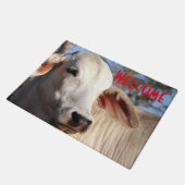 Prachtige witte cow Heifer Cattle Fotograaf Boerde Deurmat (Schuin)