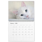 Prachtige witte kat 2022-agenda kalender (Feb 2026)