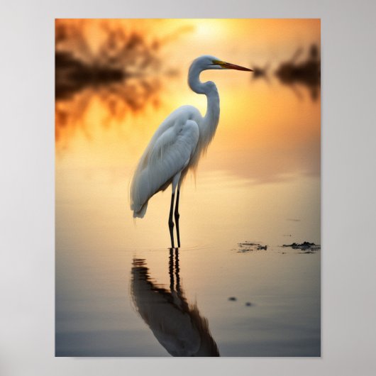 Prachtige witte zilverreiger alleen bij zonsopgang poster (Voorkant)
