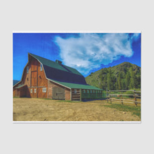 Prachtige Wyoming Barn met Groene Roof Tissuepapier