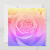 Prachtige Yellow Rose fotografie (Voorkant)