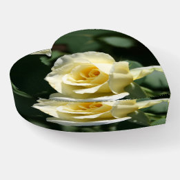 Prachtige Yellow Rose fotografie