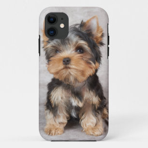 Prachtige yorkie iPhone 11 hoesje