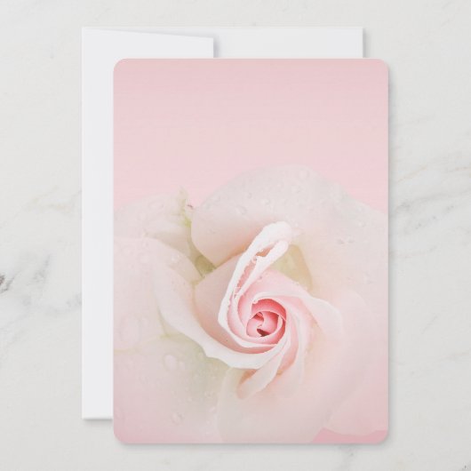 Prachtige zacht roze natte Roos elegant Vrijgezell Kaart (Achterkant)