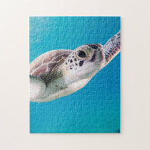 Prachtige Zee schildpad zwemmen in de oceaan