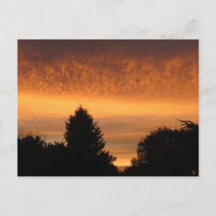 Prachtige zonsopgang Briefkaarten