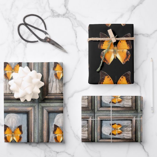 Prachtige zwart-bordered Charaxes Butterfly Inpakpapier Vel (Voorkant)