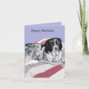 Prachtige zwart-witte Springer Spaniel Kaart