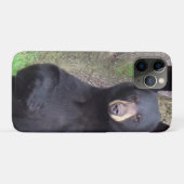 Prachtige zwarte Beer geniet van snack Case-Mate iPhone Case (Achterkant (horizontaal))