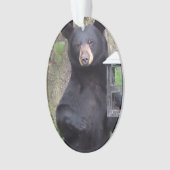 Prachtige zwarte Beer geniet van snack Ornament (voorkant)