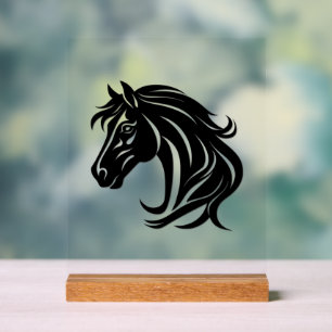 Prachtige Zwarte Paardenkop Acryl Bord
