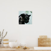 Prachtige zwarte panter poster (Keuken)