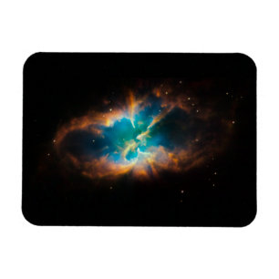 Prachtnevel Magneet