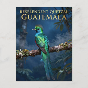 🐦 Prachtquetzal Guatemala Nevelwoud Briefkaart