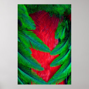Prachtquetzal veerontwerp poster