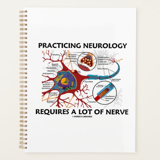 Practicing Neurology Requires (Devant)