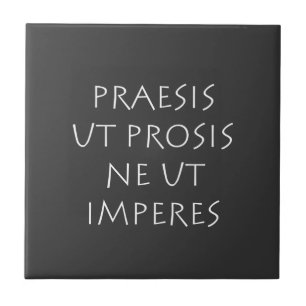 Praesis ut prosis ne ut imperes tegeltje