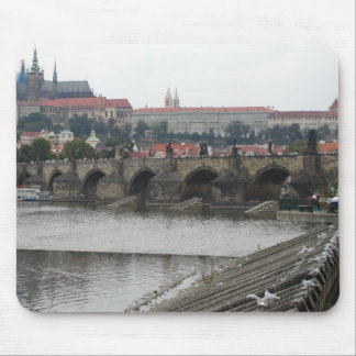 Prague Castle Muismat