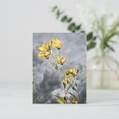 Prairie Beauty Briefkaart (Staand voorkant)