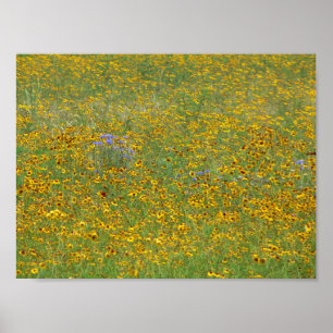 Prairie bloemen, Indiana Poster