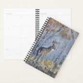 Prairie Buck (Devant avec enveloppe)