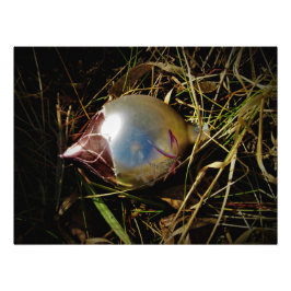 "Prairie Cheer" Foto Afdruk