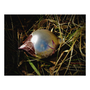 "Prairie Cheer" Foto Afdruk