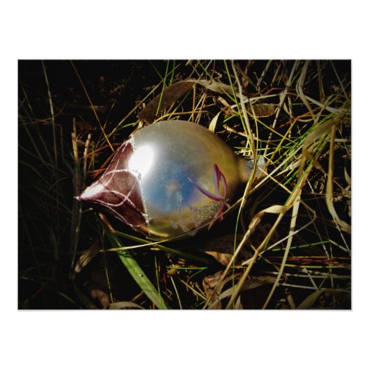 "Prairie Cheer" Foto Afdruk (Voorkant)