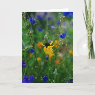 Prairie Coneflower - jarig Kaart