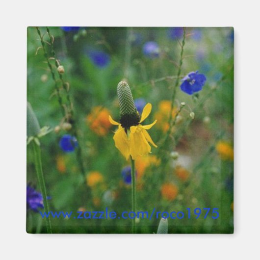 Prairie Coneflower Magneet (Voorkant)