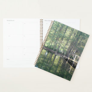 Prairie d'arbres Nature Reflet