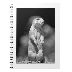 Prairie Dog#1-notebook Notitieboek