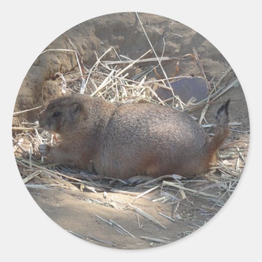 Prairie Dog #3 Sticker (Voorkant)