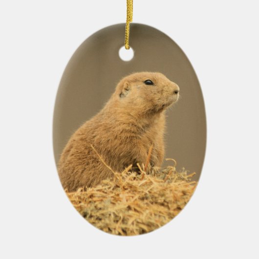 Prairie Dog Aint I Cute Ornament (Voorkant)