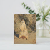 Prairie Dog Briefkaart (Staand voorkant)