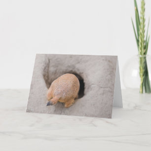 Prairie Dog Butt Kaart